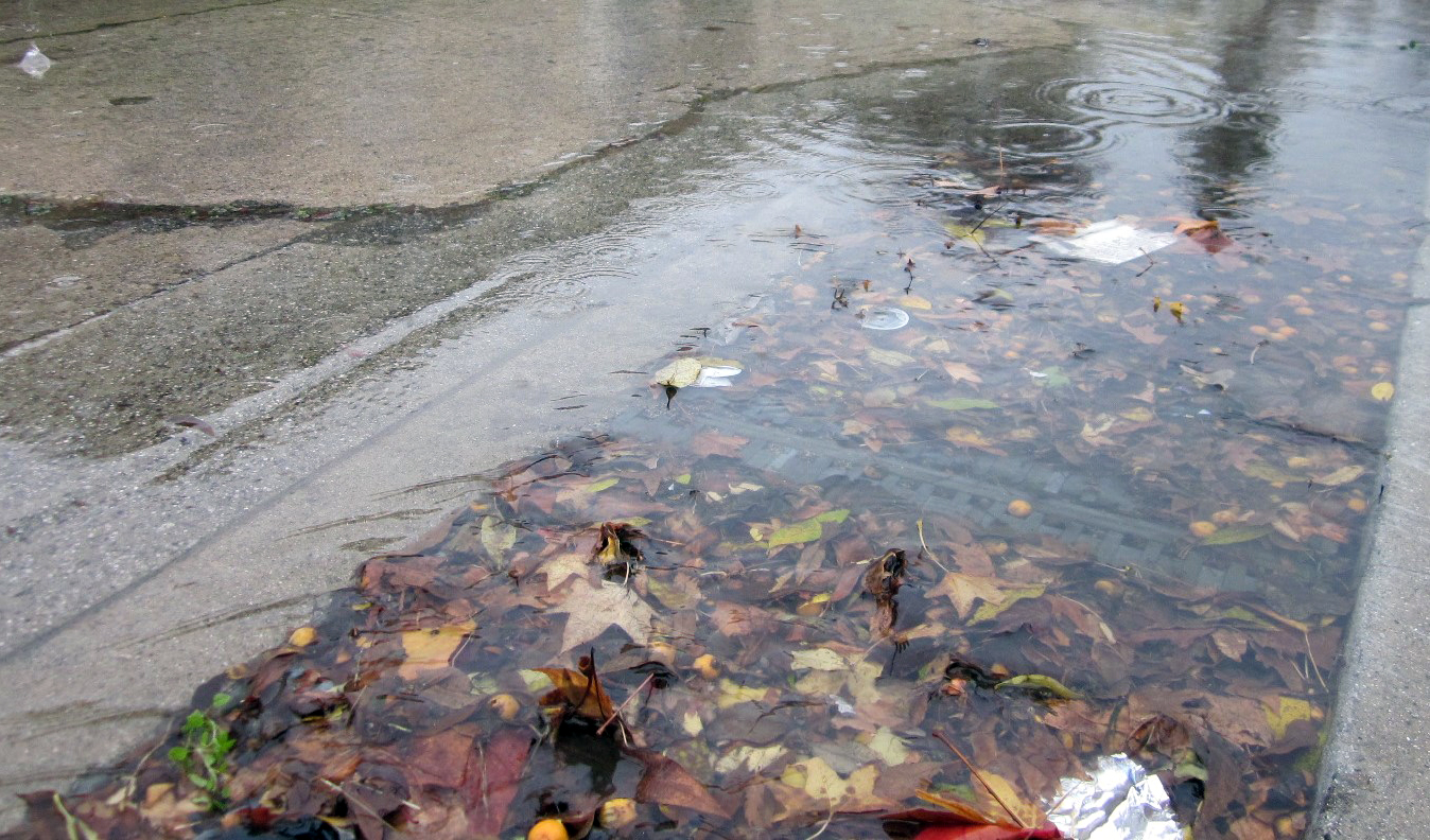 Flooded Stormdrain