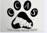 CC_animalShelter_thumb