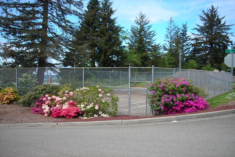 Windy Hill Park