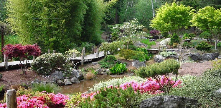 Choshi Garden - Mingus Park