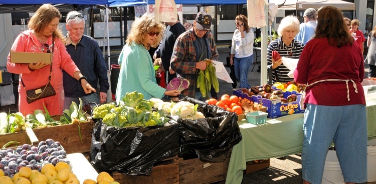 Farmer's Market