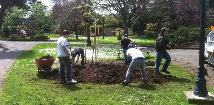 Tree Planting