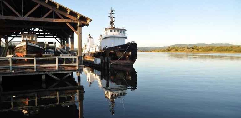 Tugs on the Bay