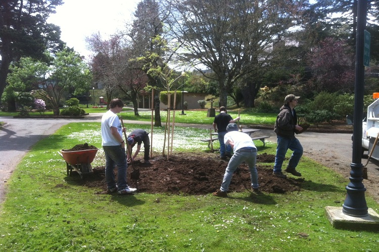 Tree Planting