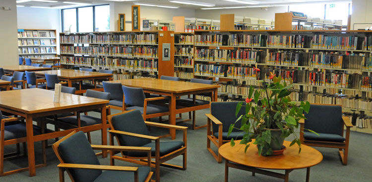 Library Shelves